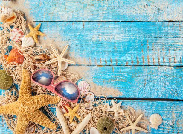 istock Summer traveling time. Sea holiday background with various shells 978525188