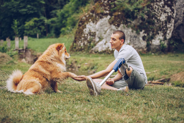 Men is sitting on the grass and playing with his dog. The dog's paw is on the man's hand