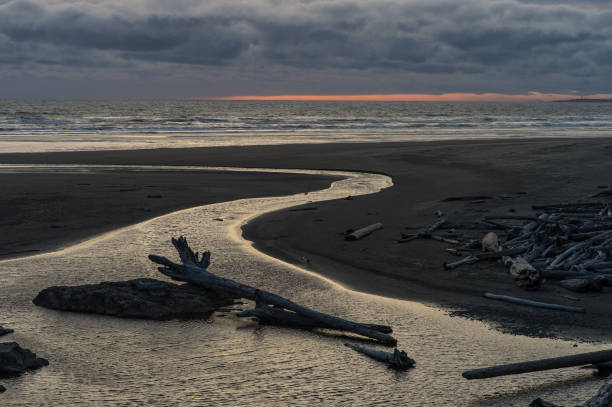 Kalaloch Creek at sunset, late spring.