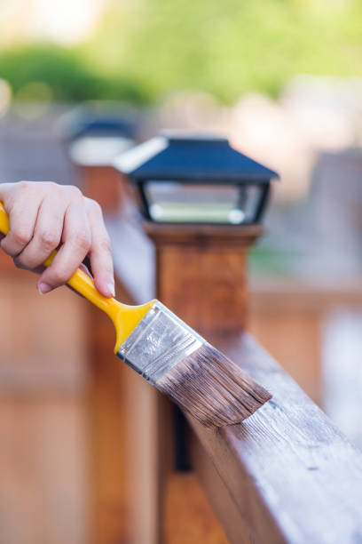istock Painting and wood preservation 978535158