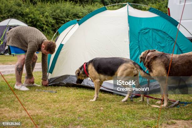 Monet Slechthorend Opera Pack Van Honden Wachten Onder Groene Tent Tijdens De Hondenshow Stockfoto en meer beelden van Bende - Georganiseerde groepen - iStock Monet Slechthorend Opera Pack Van Honden Wachten Onder Groene Tent Tijdens De Hondenshow Stockfoto en meer beelden van Bende - Georganiseerde groepen - iStock