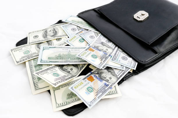 istock bags and many 100 usd banknotes, 978535426