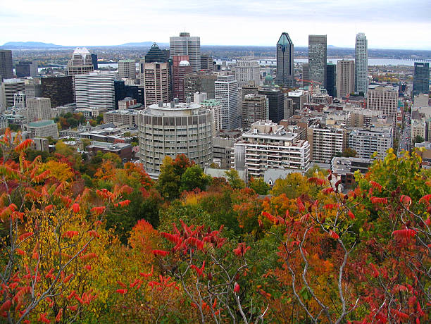 istock Montreal skyline in autumn 97853919