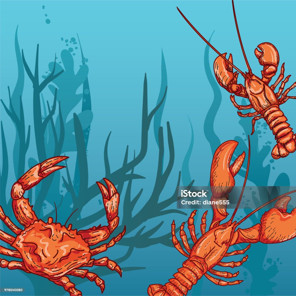 Underwater Scene With Marine Life And Plants Crab stock vector