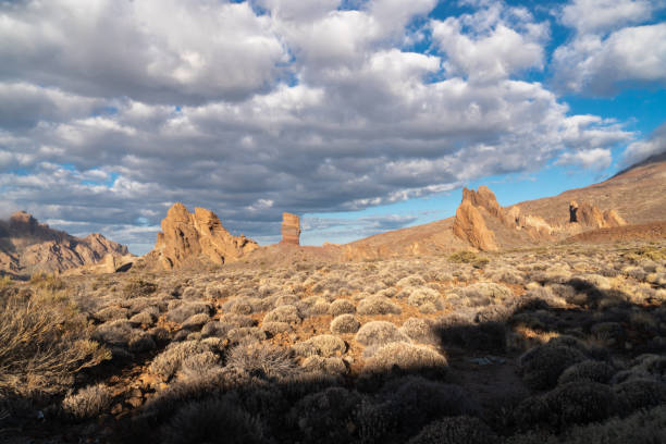 istock desert mountain landscape near Teide volcano 978540120