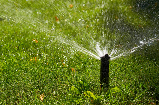 istock Automatic garden lawn sprinkler in action, water splashes, watering grass. 978545406