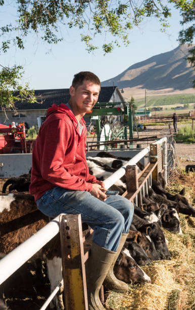 istock Young man feeding animals, taking a break in the beautiful Utah 978548816
