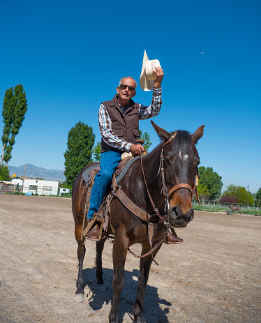 Senior cowboy on his horse, regards