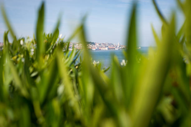 City view Lisbon Portugal - What a wonderful city to travel :-)