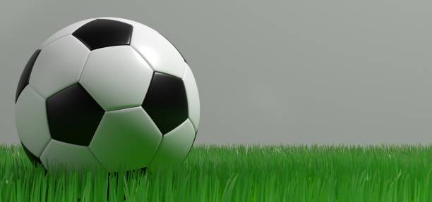 istock soccer ball on grass on gray isolate background 978568182