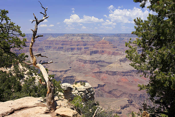 istock Grand Canyon, aerial view 97856848