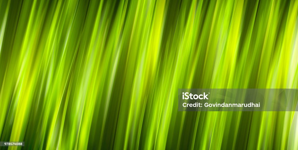 Natural green spring with background Abstract Stock Photo