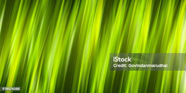 Natural Green Spring With Background Stock Photo - Download Image Now - Abstract, Backgrounds, Beauty In Nature