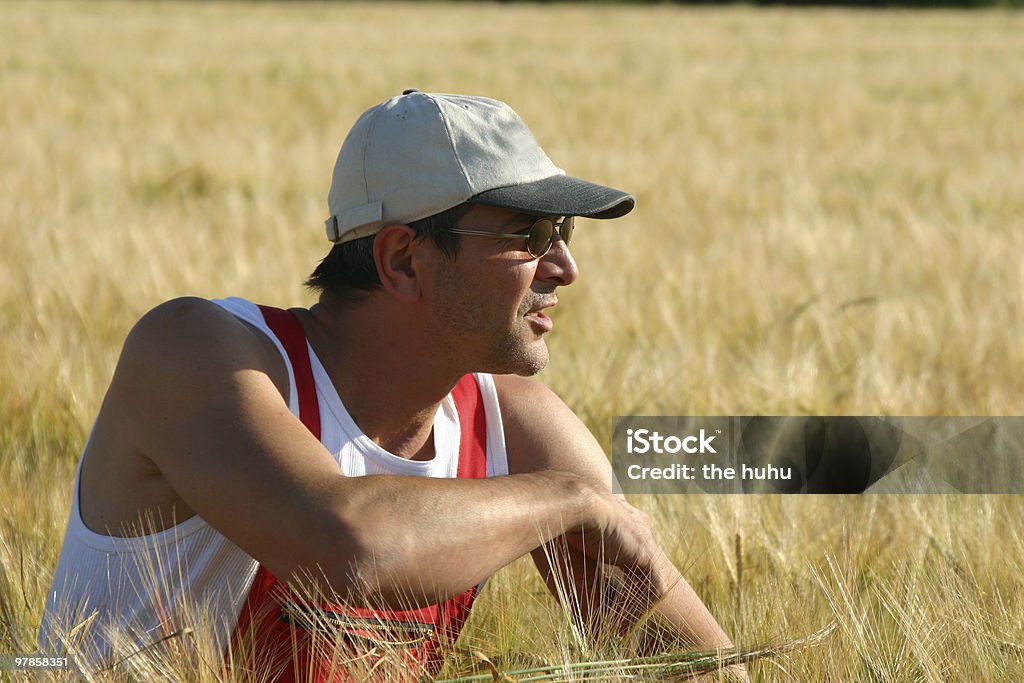 Farmer inspecting wheat  Adult Stock Photo