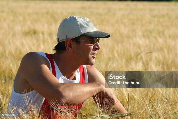 Farmer Inspecting Wheat Stock Photo - Download Image Now - Adult, Agriculture, Blue