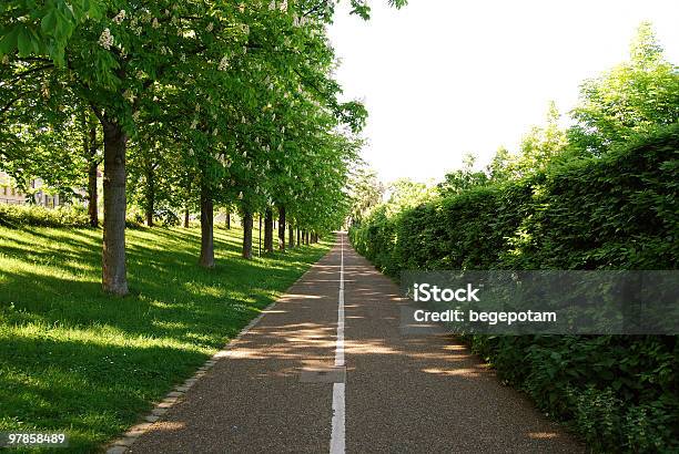 Green Alley Stockfoto und mehr Bilder von Allgemein beschreibende Begriffe - Allgemein beschreibende Begriffe, Asphalt, Autoreise