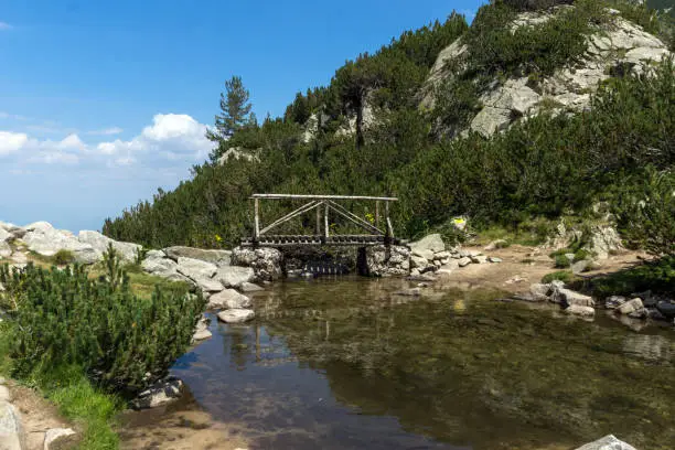 Amazing landscape with wooden bridge over Banderitsa River, Pirin Mountain, Bulgaria