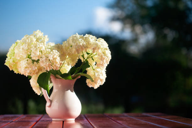 istock Hydrangea bouquet of flowers in a white jug 978594664
