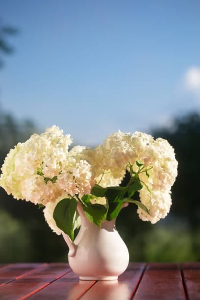istock Hydrangea bouquet of flowers in a white jug 978594670