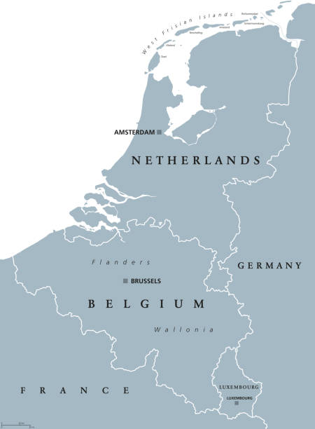 politische karte der benelux länder, grau - belgien stock-grafiken, -clipart, -cartoons und -symbole
