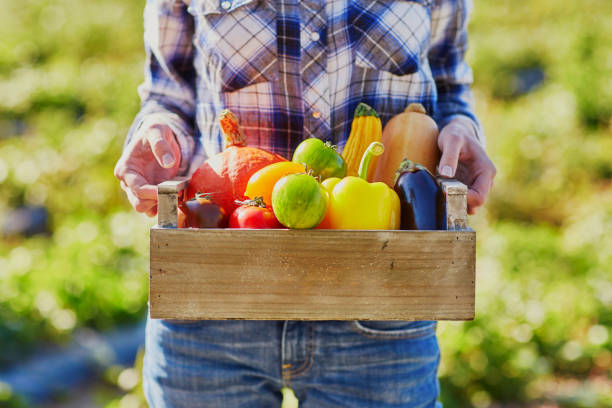 istock Woman holding crate with organic vegetables from farm 978604768