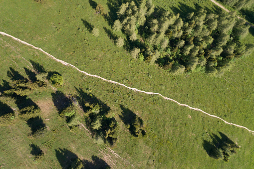 Hiking Trail leading through the Meadows, Aerial View