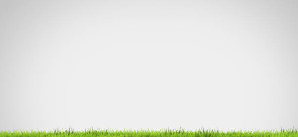 istock green grass blades of grass 3d rendering 978609584