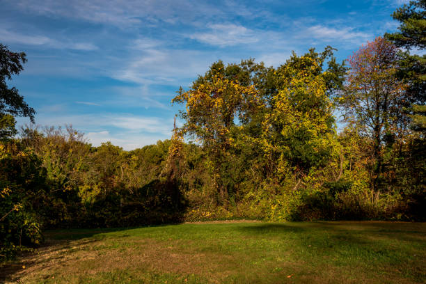 istock Autumn on Golden Coast 978611212
