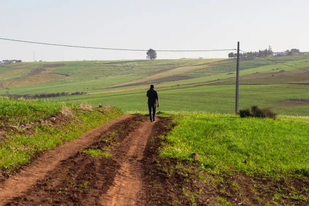 Photo of Man walking along a narrow path in the field, walking alone