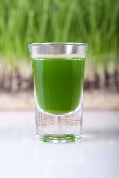 wheatgrass shot stock photo