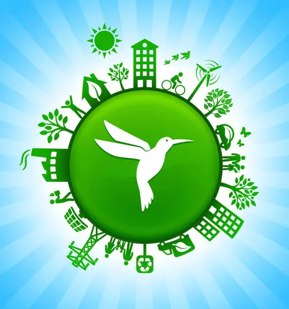 Vector illustration of Hummingbird Environment Green Button Background on Blue Sky