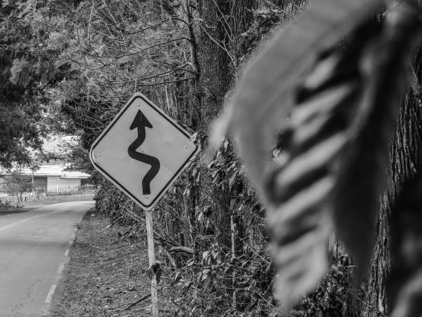 Black and white photograph of a signal plate on a rural road covered by trees, in the rural city of  Monte Belo, in Minas Gerais state, Brazil.