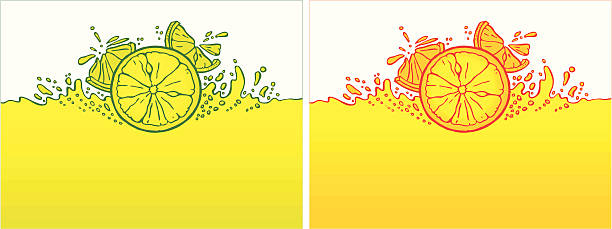 Citrus background vector art illustration