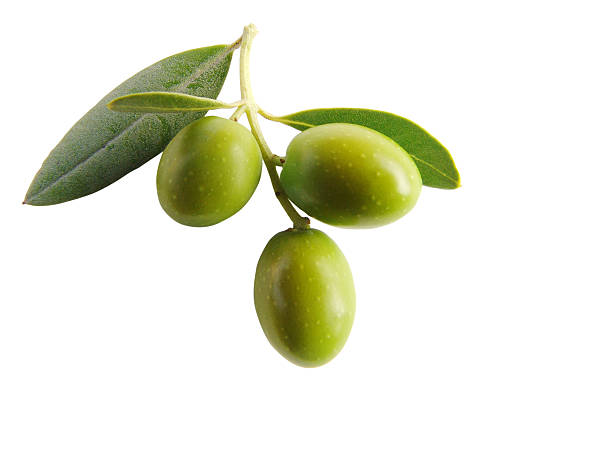 antipasti - olives isolated iii - olijfblad stockfoto's en -beelden