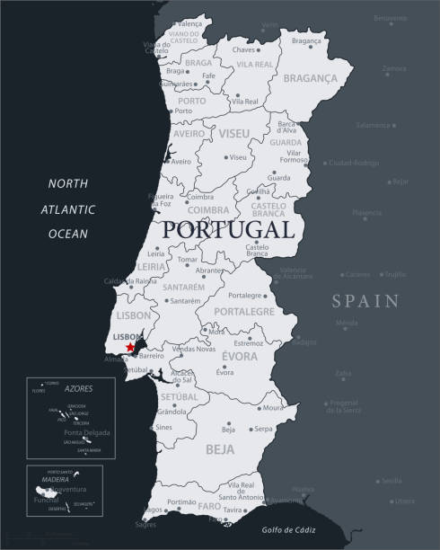 Premium Vector  Porto portugal city map in retro style. outline
