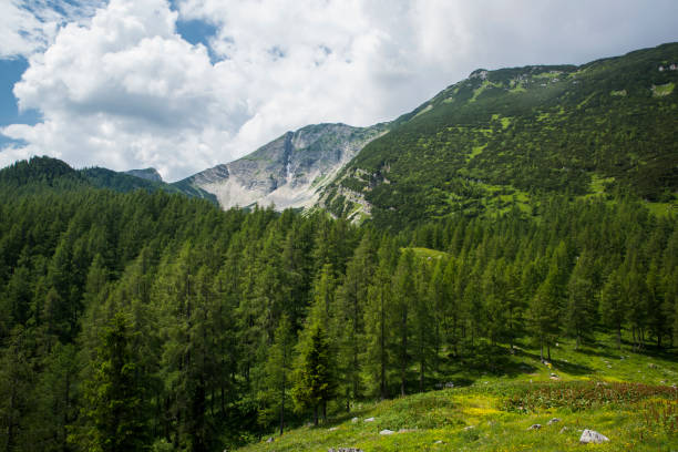 istock Warscheneck (2388 m) in Eastern Alps of Upper Austria 978641568