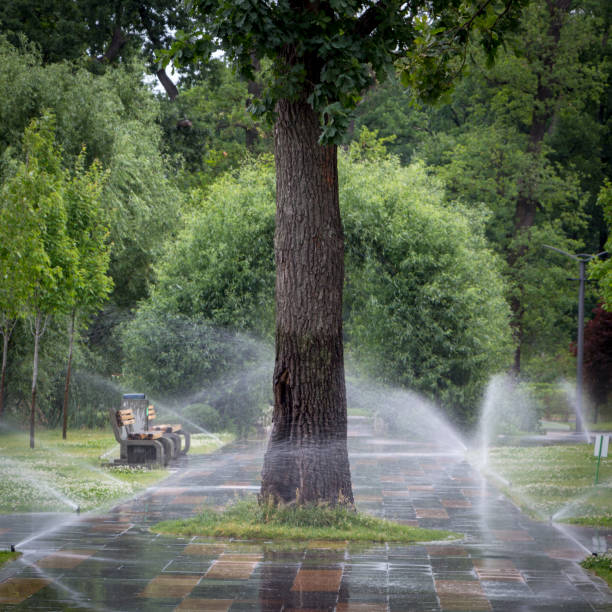 istock automatic sprinkler system watering the lawn on a background of green grass 978642054
