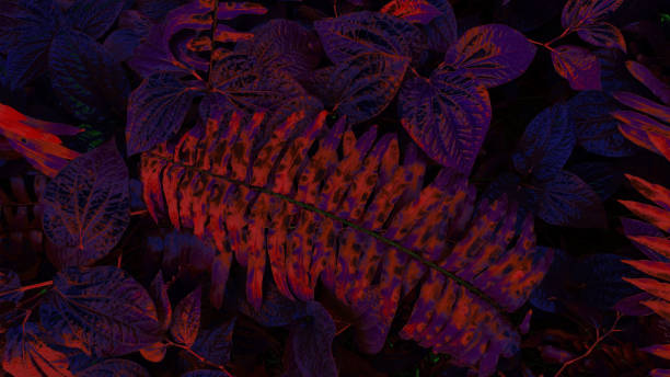 istock tropical leaf forest glow in the dark background. High contrast. 978659218