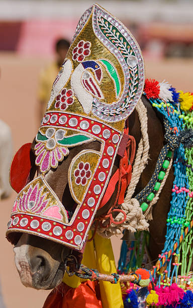 istock Indian Festival Horse 97866424