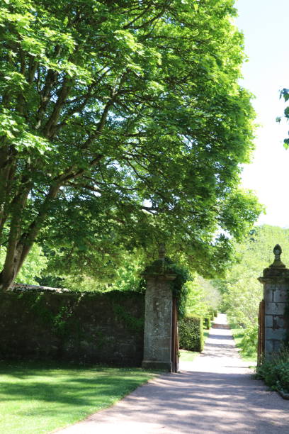istock Trees, shrubs and plants in woods in spring near wall 978666110