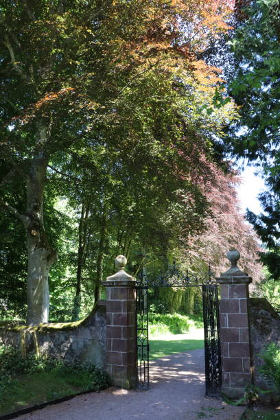 istock Trees, shrubs and plants in woods in spring 978666288