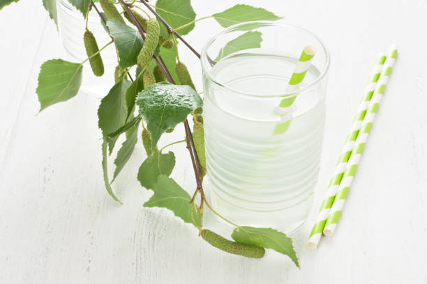Glass birch juice stock photo