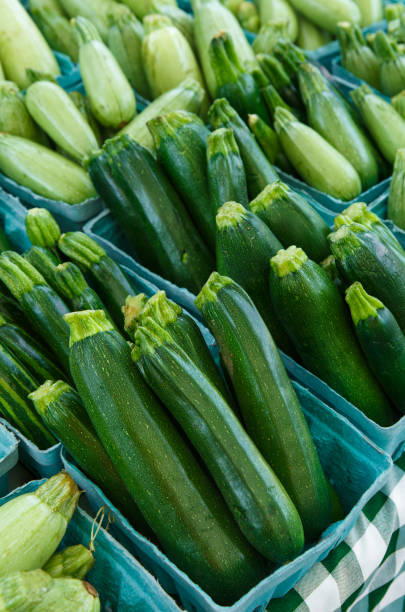 verão fresco zuchinni squash - zuchinni - fotografias e filmes do acervo