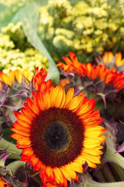 istock Cut Flowers at a Local Market 978710612