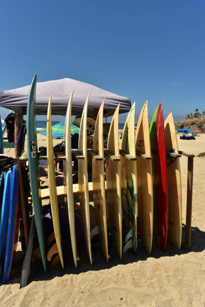 istock rows and stacks of surfboards on beach in Baja, Mexico 978715538