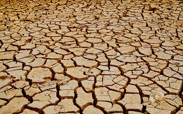 soil erosion stock photo