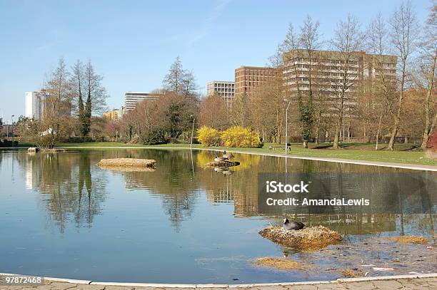 Photo libre de droit de Vue De Basingstoke Hampshire banque d'images et plus d'images libres de droit de Basingstoke - Basingstoke, Rue principale, Angle de prise de vue