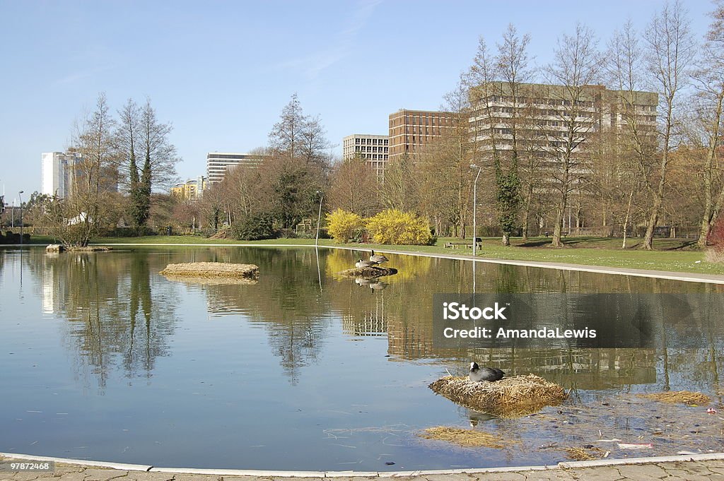 Vista de Basingstoke, Hampshire - Foto de stock de Basingstoke royalty-free