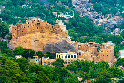 Architecture, Life and cultural images from Yemen. Khat trees in Yemen