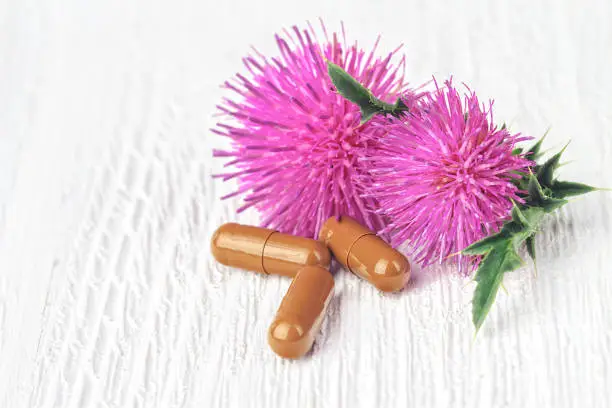 Silybum marianum (milk thistle) pills and flowers on a white wooden table (selective focus).One of the most common uses of milk thistle is to treat liver problems